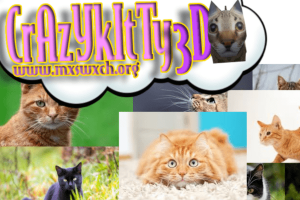 Crazy Kitty 3D