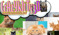 Crazy Kitty 3D